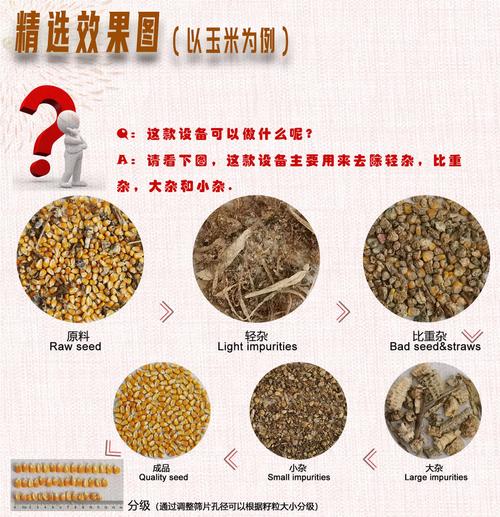 5xfz-20 复式精选机-沁彤进出口贸易