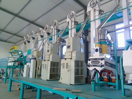 玉米深加工机械及谷物精选加工机械堵塞问题的解决方案